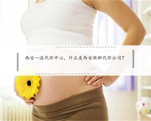 西安一流代怀中心，什么是西安供卵代怀公司？